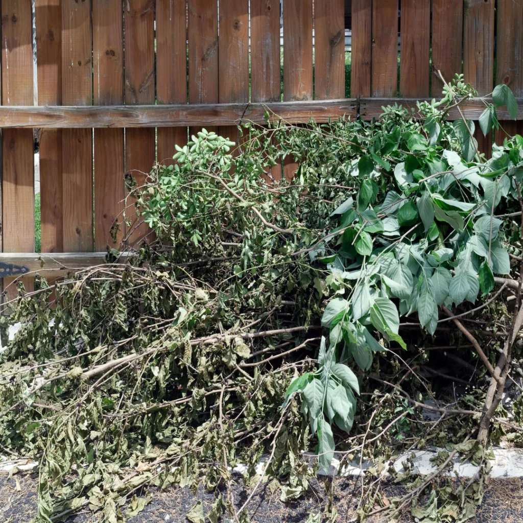 Benne à déchets verts sur un terrain en restanques