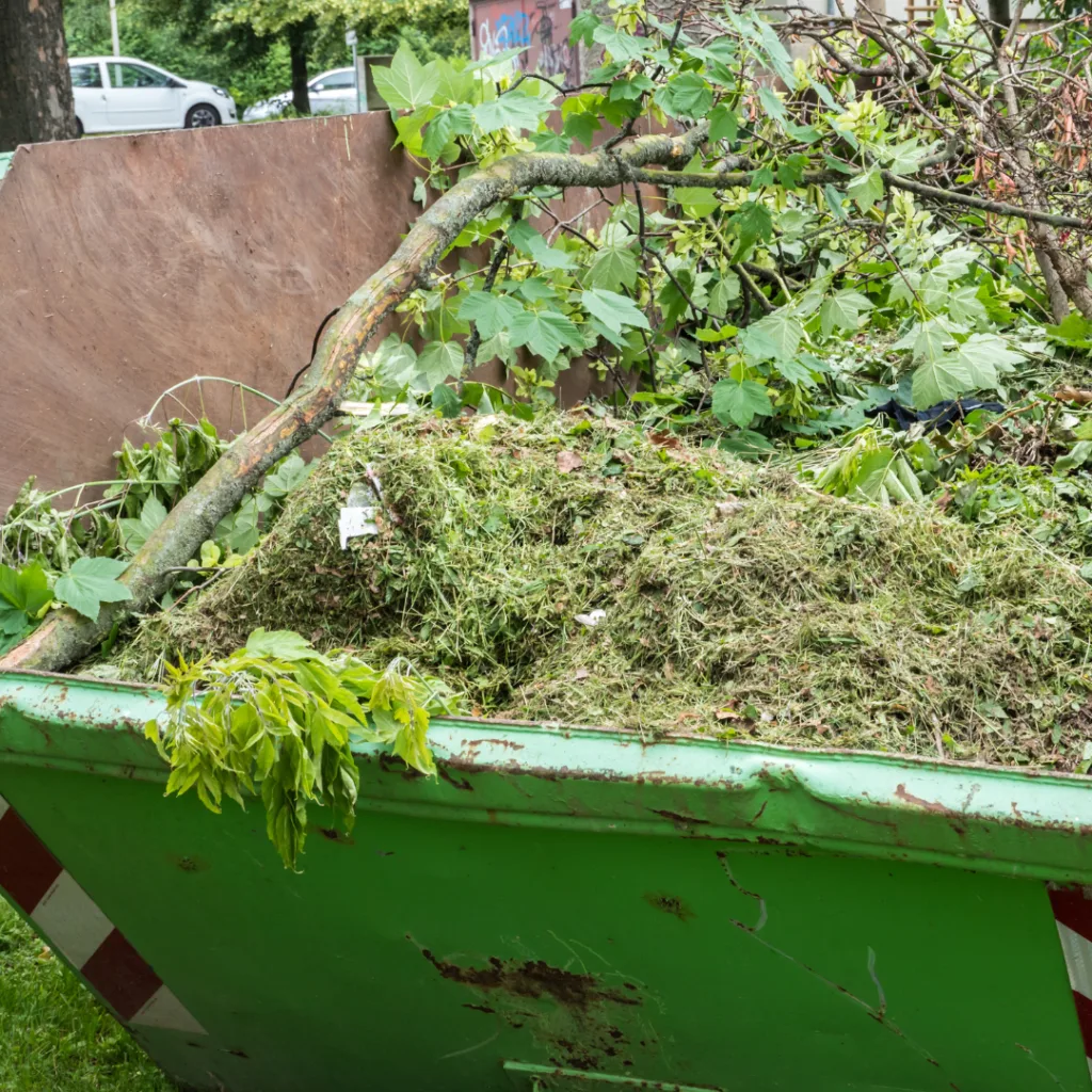 Tailles d’oliviers chargées dans une benne à déchets verts
